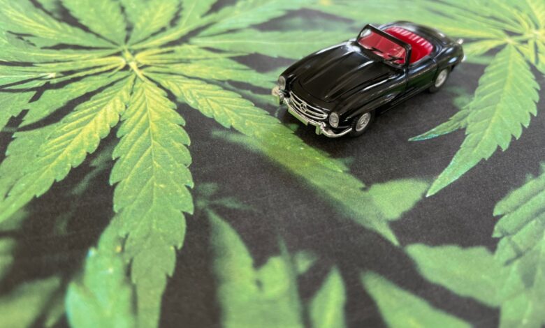 Ist CBD beim Autofahren verboten