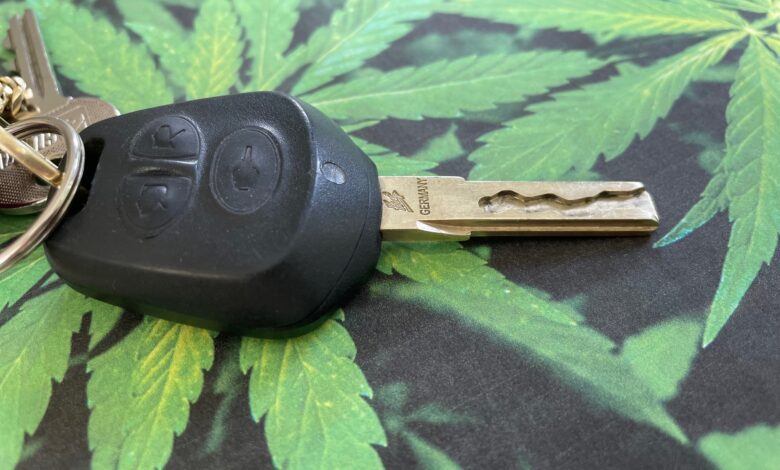 Was verfälscht eine Haaranalyse