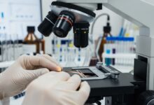 Wie aussagekraeftig ist eine Haaranalyse [Bildinhalt mit KI erstellt]